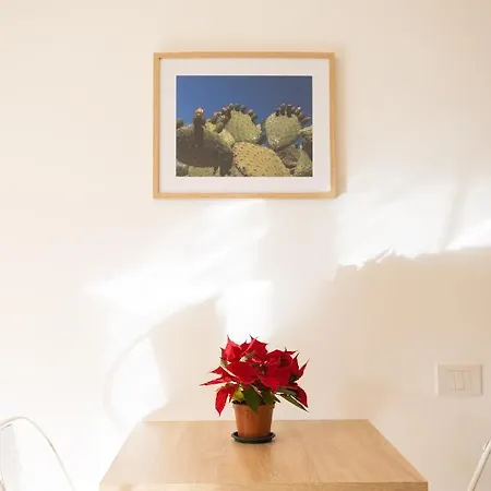 Il Gabbiano A Ballaro Guest house Palermo
